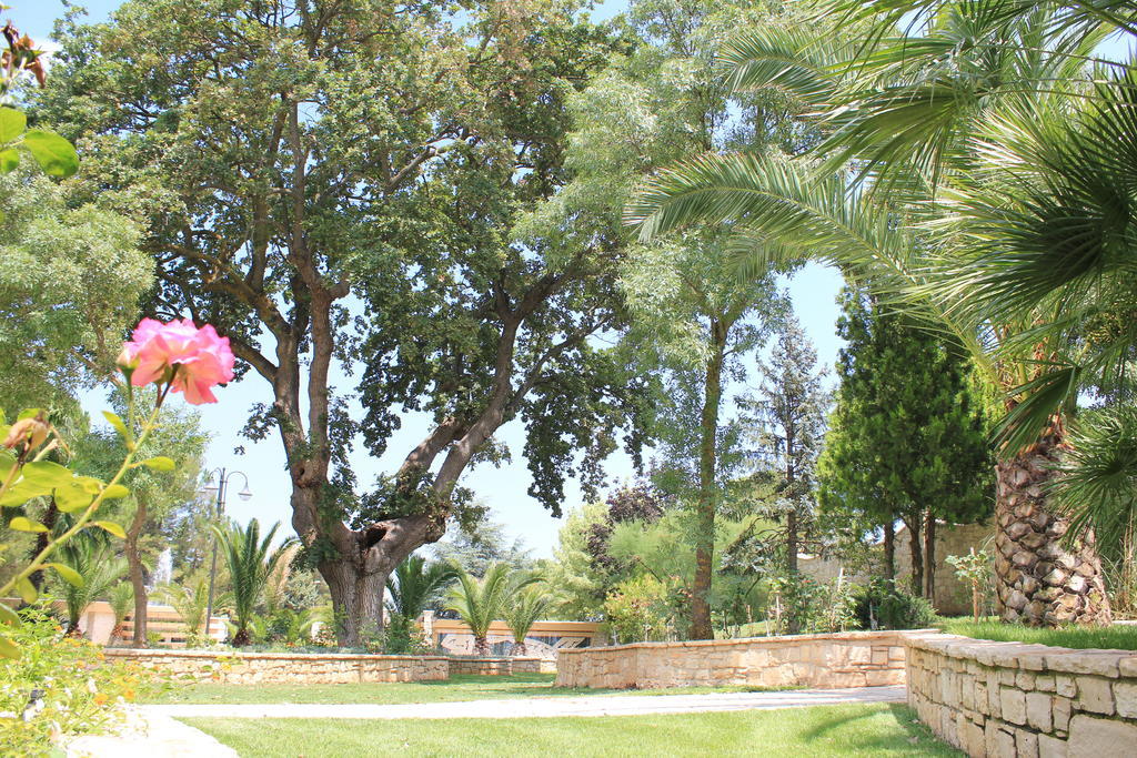 Il Portico Luxury B&B Cassano delle Murge Esterno foto
